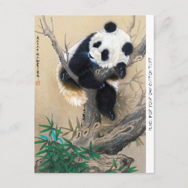 Carte Postale panda cool chine mignonne douce et moelleuse (Devant)