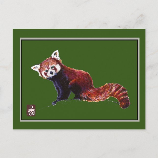 Carte Postale Panda rouge (Devant)