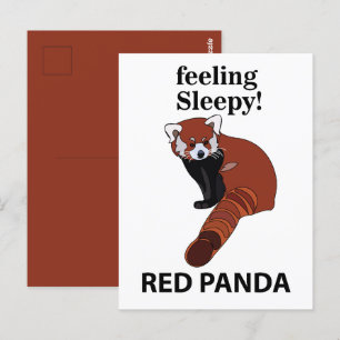Carte Postale Panda Rouge Sentant Sleepy Drôle Panda Rouge