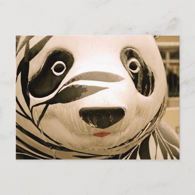 Carte Postale Panda Sepia couvert de glace (Devant)
