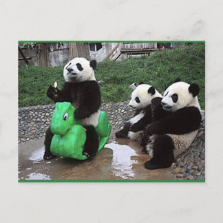 Carte Postale pandabeer