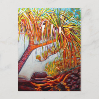 Carte Postale Pandanus Parasol