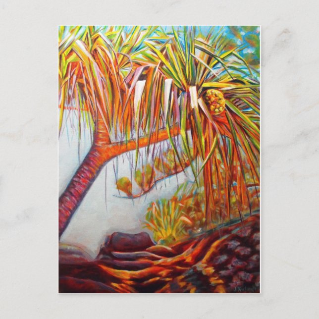 Carte Postale Pandanus Parasol (Devant)