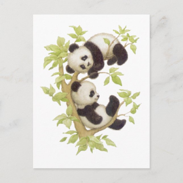 Carte Postale Pandas jouant dans un arbre (Devant)
