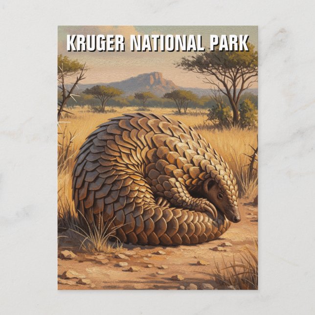 Carte Postale Pangolin dans le parc national Kruger Afrique du S (Devant)