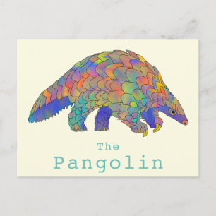 Carte Postale Pangolin Espèces en voie de disparition Art animal