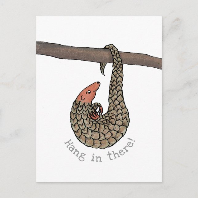 Carte postale Pangolin 'pendre là-dedans' (Devant)