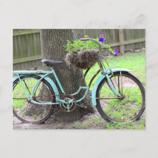 Carte Postale Panier à vélos vintage dans le jardin