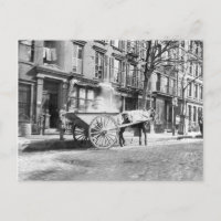 Panier Ash New York 1896
