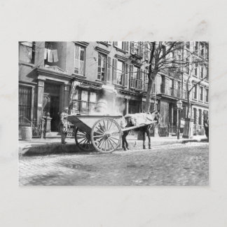 Carte Postale Panier Ash New York 1896