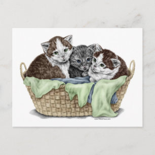 Carte Postale Panier de Chatons