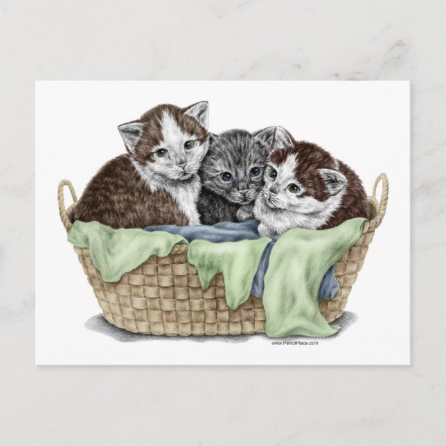 Carte Postale Panier de Chatons (Devant)