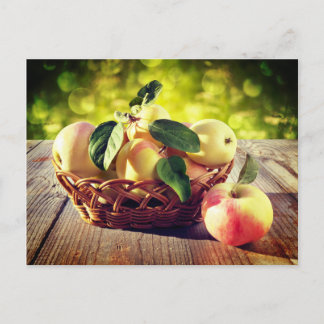 Carte Postale Panier de pommes