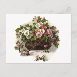 Carte Postale Panier Rose sauvage vintage