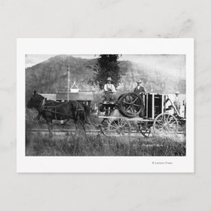 Carte Postale Panier tiré à cheval