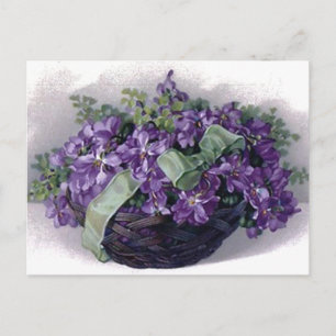 Carte Postale Panier Violets vintages