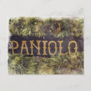 Carte Postale Paniolo avec Lei
