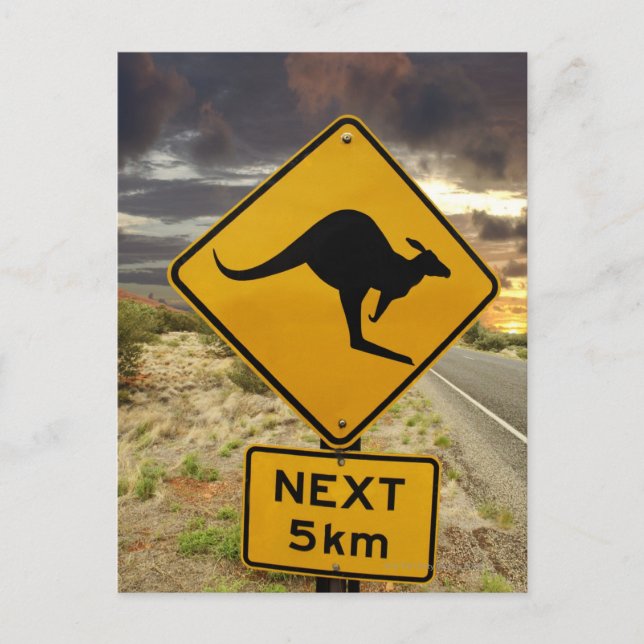 Carte Postale Panneau kangourou, Australie (Devant)