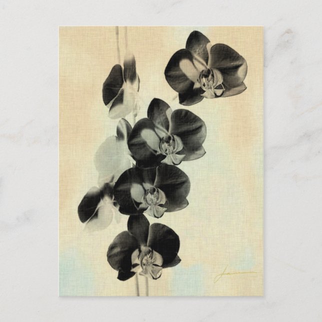 Carte Postale Panneaux bleus orchidées III (Devant)