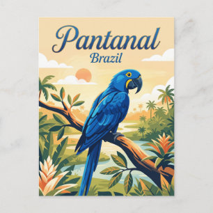 Carte Postale Pantanal Brésil