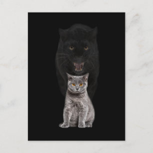 Carte Postale Panthère de chat noir Évolution de la mignonette a