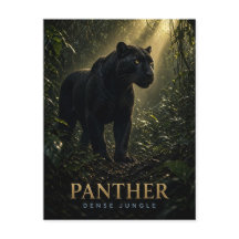 Panthère Faune ANIMAL de jungle dense