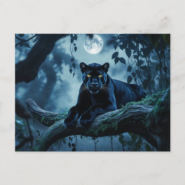 Carte Postale Panthère noire sur une branche d'arbre sous la lun (Devant)