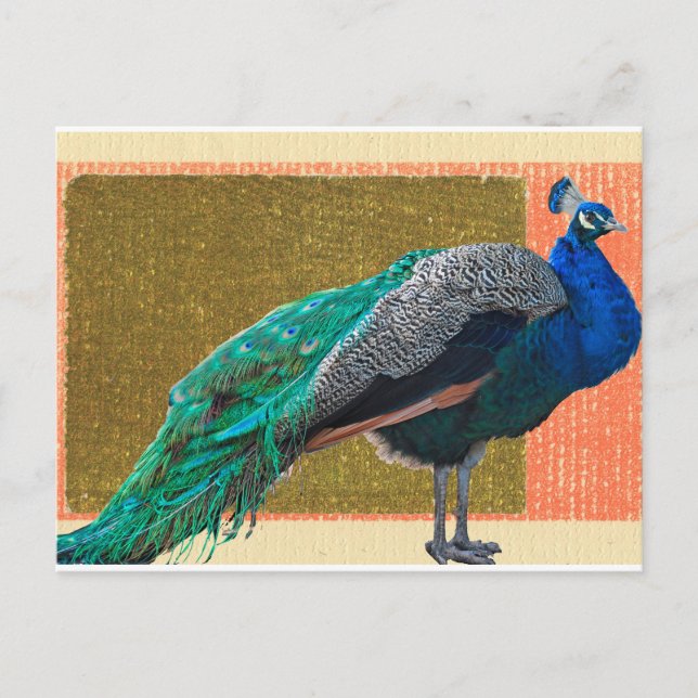 Carte Postale Paon (Devant)