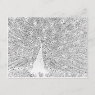 Carte postale - Paon à colorier