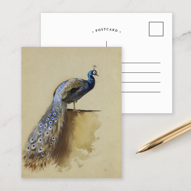 Carte Postale Paon | Archibald Thorburn (Créateur téléchargé)
