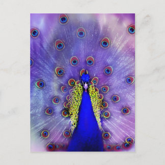 Carte Postale Paon Bleu Pastel Oiseau