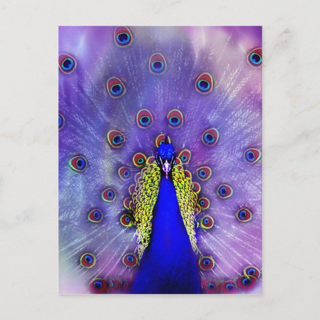 Carte Postale Paon Bleu Pastel Oiseau (Devant)