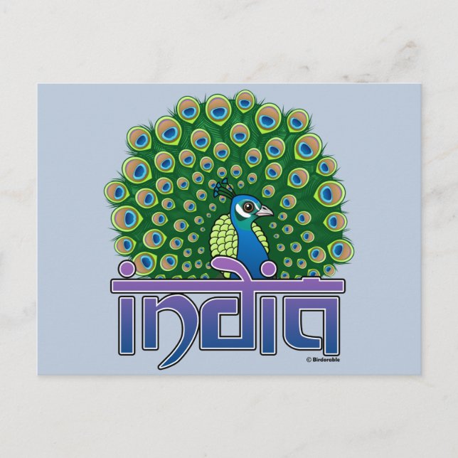 Carte Postale Paon de l'Inde (Devant)