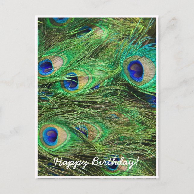 Carte Postale Paon magnifique (Devant)