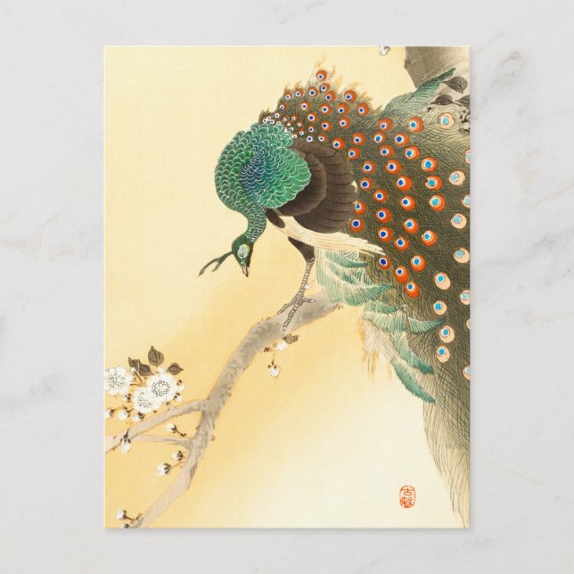 Carte Postale Paon sur cerisier en fleurs ++ Ohara Koson -  (Devant)
