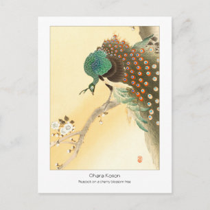 Carte Postale Paon sur le cerisier en fleurs - Ohara Koson +