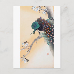 Carte Postale Paon sur un arbre à fleurs de cerisiers, Ohara Kos