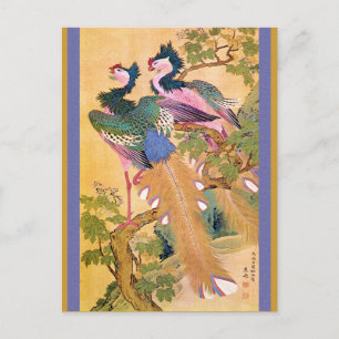 Carte Postale paonnotebue