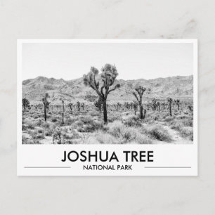 Carte Postale Papeterie de la Joshua Tree National Park 