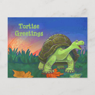 Carte Postale Papier à lettres Tortoise