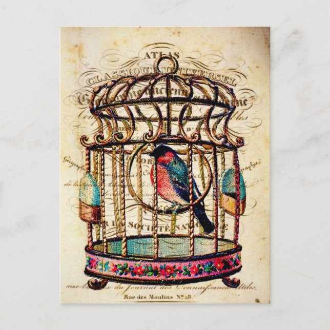 Carte postale papier d'art vintage Bircage (Devant)