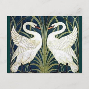 Carte Postale Papier peint Swan and Rush et Iris TBA décerné