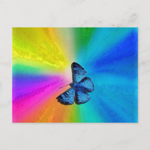 Carte Postale papillon