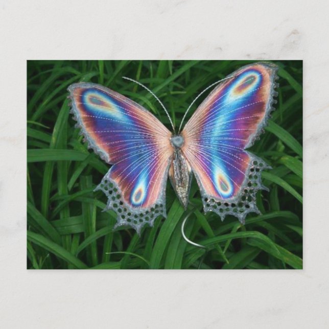 Carte Postale papillon (Devant)