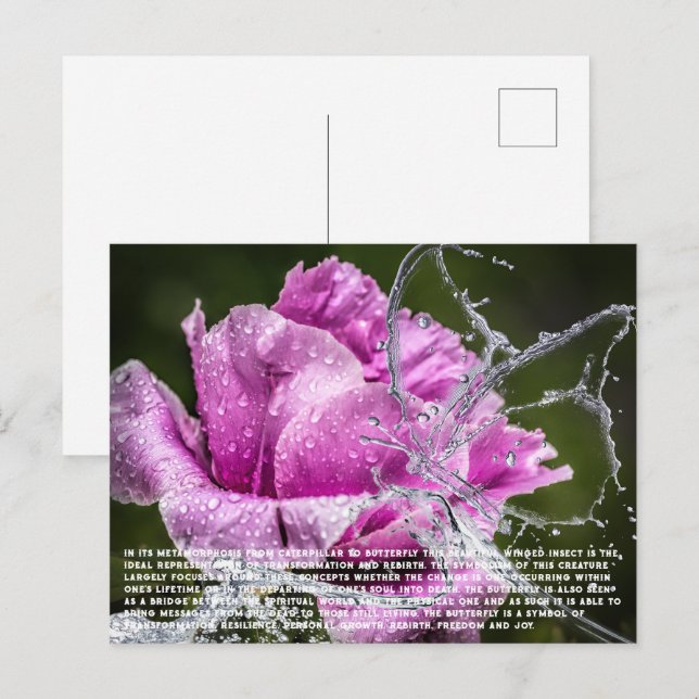 Carte postale papillon (Devant / Derrière)