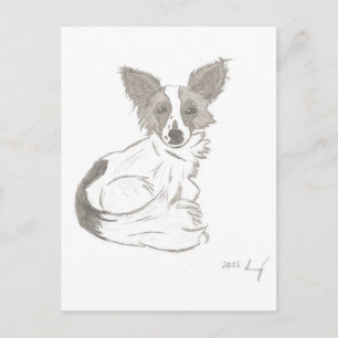 Carte postale Papillon