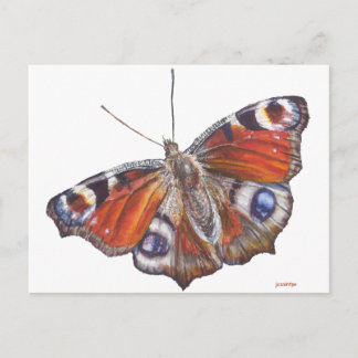 Carte Postale Papillon