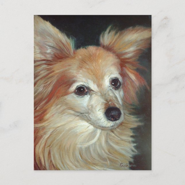 Carte postale Papillon (Devant)