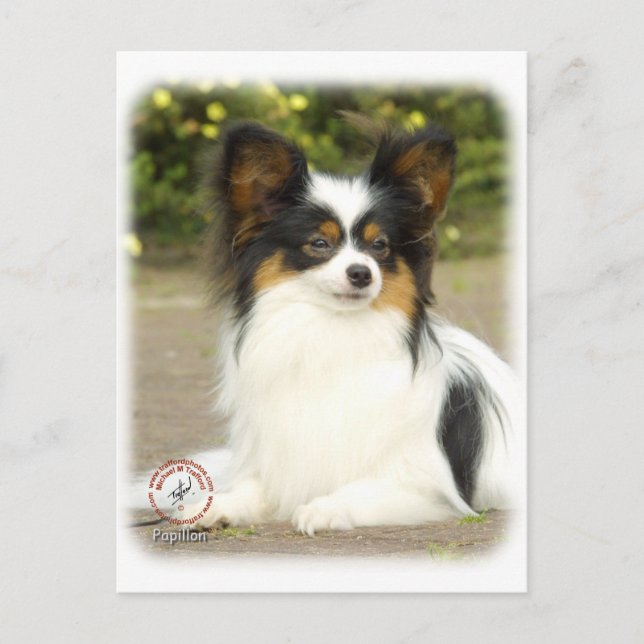 Carte Postale Papillon (Devant)