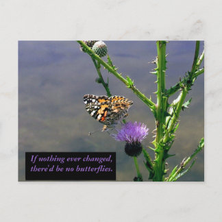 Carte Postale Papillon